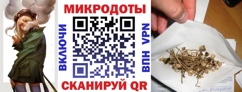Галлюциногенные грибы Psilocybe Волгодонск
