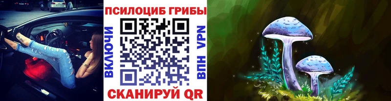 Псилоцибиновые грибы Psilocybine cubensis Волгодонск